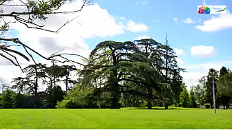 Le CLIP Bienvenue à BALMA pensé et réalisé par l'association Balma31 sur @TvLocale_fr