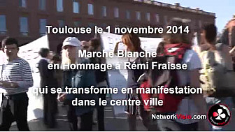 Barrage de Sivens Manifestation à Toulouse le 1 novembre en Hommage à Rémi Fraisse