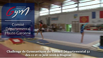 Challenge de Gymnastique du Comit&eacute; D&eacute;partemental de Haute-Garonne des 10 et 11 juin 2016 