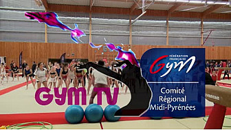 Gymnastique: le comit&eacute; Midi-Pyr&eacute;n&eacute;es organisait le FESTI CLUBS LOISIR &eacute;v&eacute;nement d&eacute;di&eacute; &agrave; la Gym Pour Tous le 19 novembre .