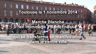 Barrage de Sivens Manifestation à Toulouse le 1 novembre en Hommage à Rémi Fraisse