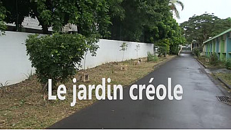 Jeunes Reporter CINOR - Je plante, tu plantes, nous protégeons ! – CM2 Ecole Bouvet B - Saint-Denis